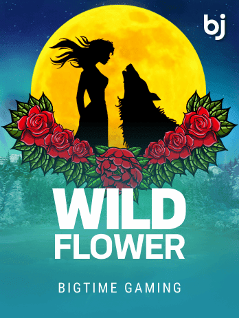 Wild Flowerpng screenshot